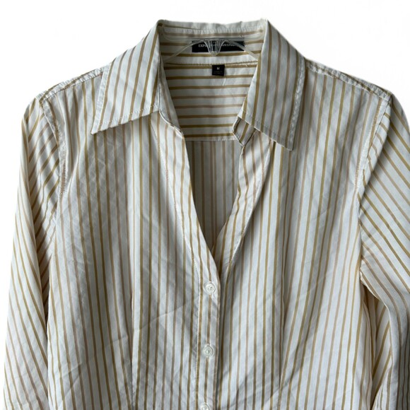 Express Button Down Long Sleeve Gold Striped V-Neck Blouse Women’s Size M - Picture 2 of 9